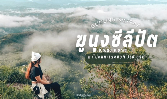 cover ฆู นุ ง ซี ลี ปั ต - เ บ ต ง - ย ะ ล า