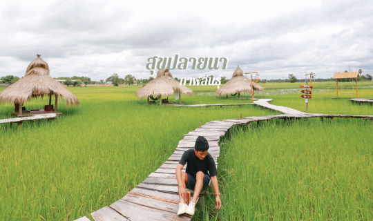 Cover ร้านอาหารสไตล์บ้านทุ่ง  สุขปลายนา กาฬสินธุ์...