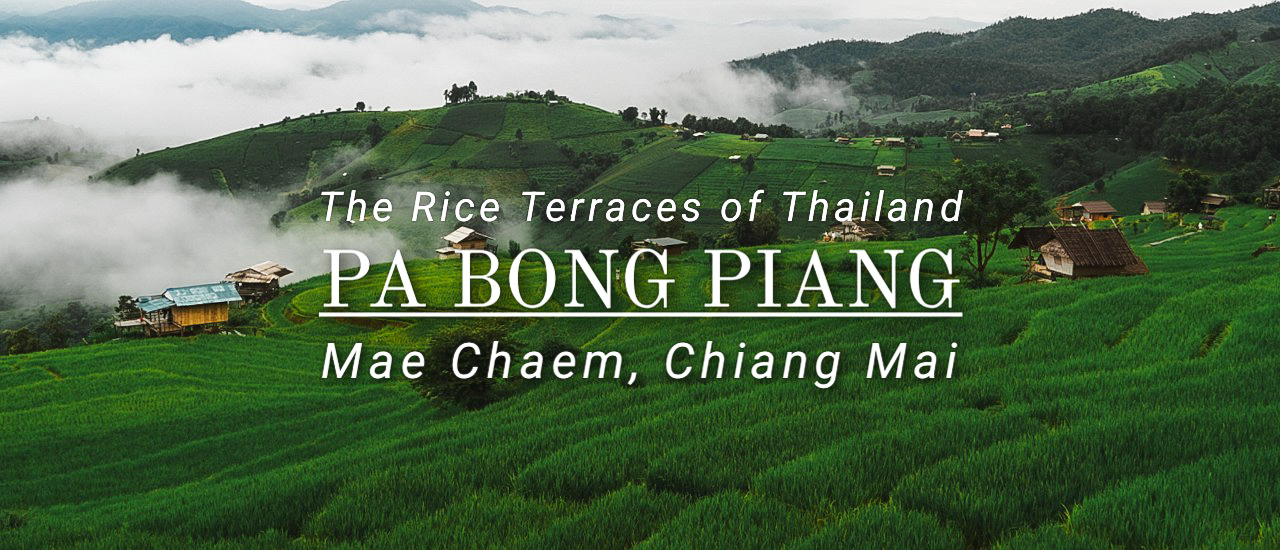 cover บ้านป่าบงเปียง | หน้าฝนบนดอย