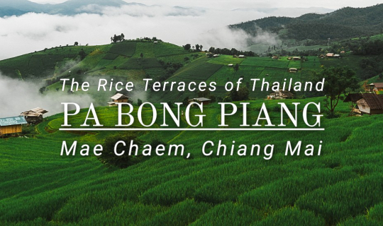 cover บ้านป่าบงเปียง | หน้าฝนบนดอย