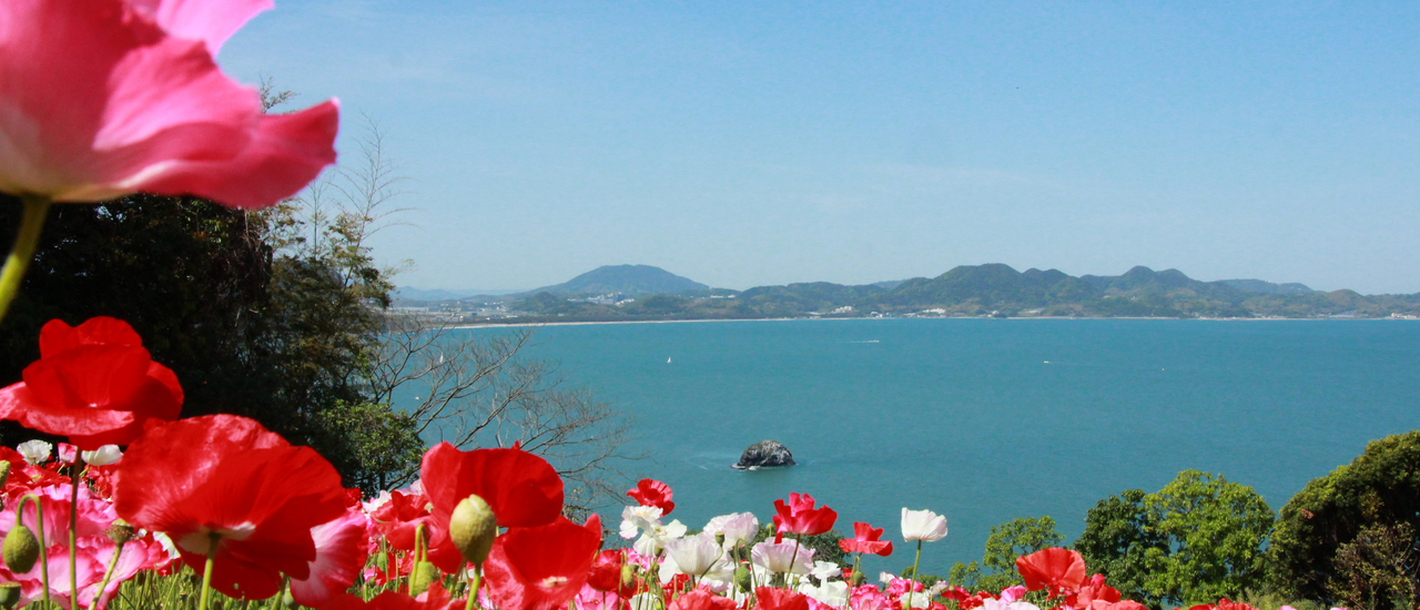 cover 能古島アイランドパーク, Nokonoshima Island Park สวนดอกไม้กลางเกาะสวย