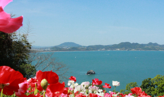 cover 能古島アイランドパーク, Nokonoshima Island Park สวนดอกไม้กลางเกาะสวย