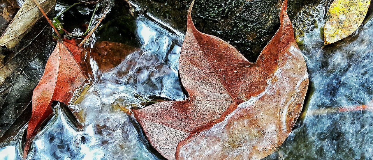 cover "เป้ 2 ใบ กับ ใจ 2 ดวง" By Phukadung