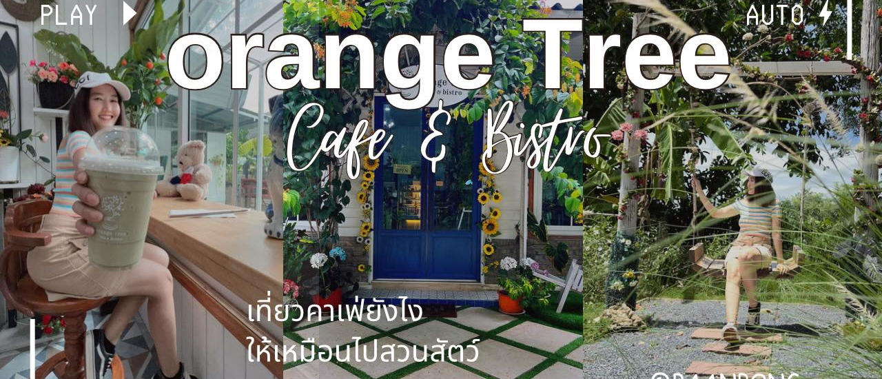 cover Orange Tree Cafe & Bistro เที่ยวคาเฟ่ยังไงให้เหมือนไปสวนสัตว์