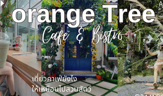 cover Orange Tree Cafe & Bistro เที่ยวคาเฟ่ยังไงให้เหมือนไปสวนสัตว์