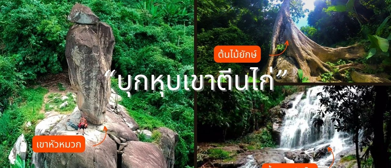 cover บุกหุบเขาตีนไก่ตามหาน้ำตกสลัดได นครนายก พิชิตเขาหัวหมวก