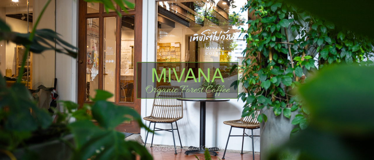 cover คาเฟ่ ในบ้านสาทรหลังใหญ่ รายล้อมด้วยต้นไม้ใหญ่ บรรยากาศ ร่มรื่น ฟีลกู๊ดที่สุด ที่ MiVana Baan Sathon