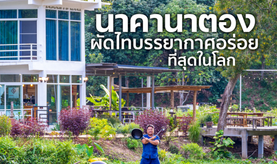 Cover แอ่ว น า ค า น า ต อ ง . . . แ พ ร่...