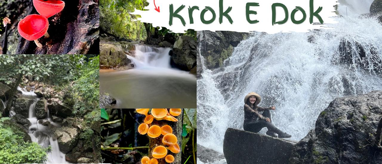 cover ทริปเดินป่าหน้าฝน น้ำตกโกรกอีดก สระบุรี | มือใหม่ก็เดินได้