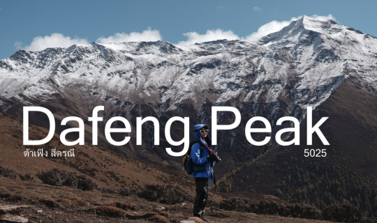 cover ต้าเฟิง สี่ดรุณี