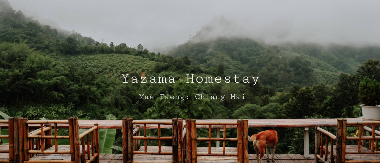 cover YAZAMA HOMESTAY : ที่พักบนดอย สไตล์บ้านชาวเขา เผ่าอาข่า