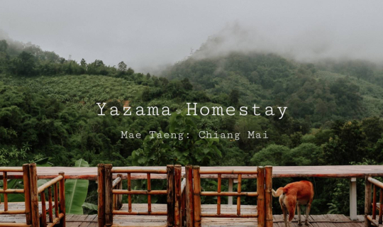 Cover YAZAMA HOMESTAY : ที่พักบนดอย สไตล์บ้านชาวเขา เผ่าอาข่า...