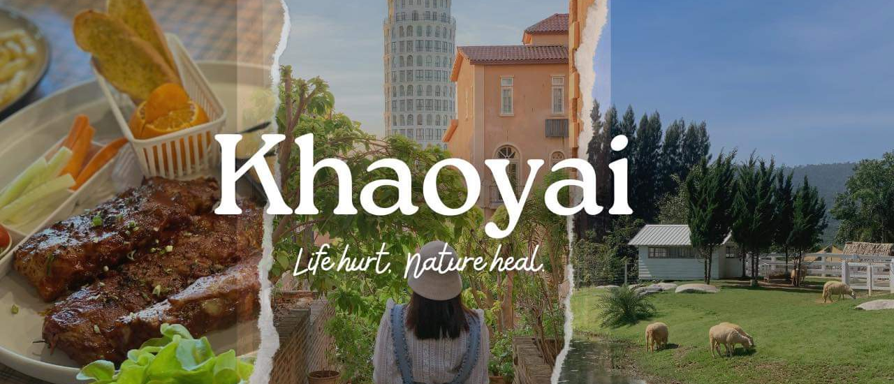 cover รีวิวเที่ยวเขาใหญ่ ทั้งครอบครัวใหญ่ 10 คน อากาศดีมาก 🌳🍃