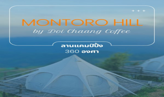 Cover Montoro Hill by Doi Chang Coffee ที่พักลานแคมป์ปิ้งมองเห็นวิว 360 อง...
