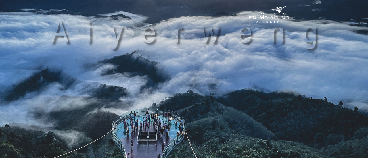 cover อัยเยอร์เวง ทะเลหมอกสุดอลัง.....