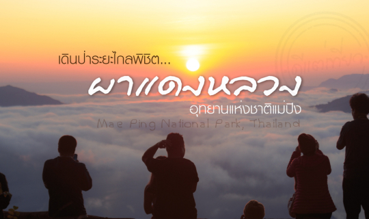 Cover เดินป่าระยะไกล..พิชิต"ผาแดงหลวง"อุทยานแห่งชาติแม่ปิง...