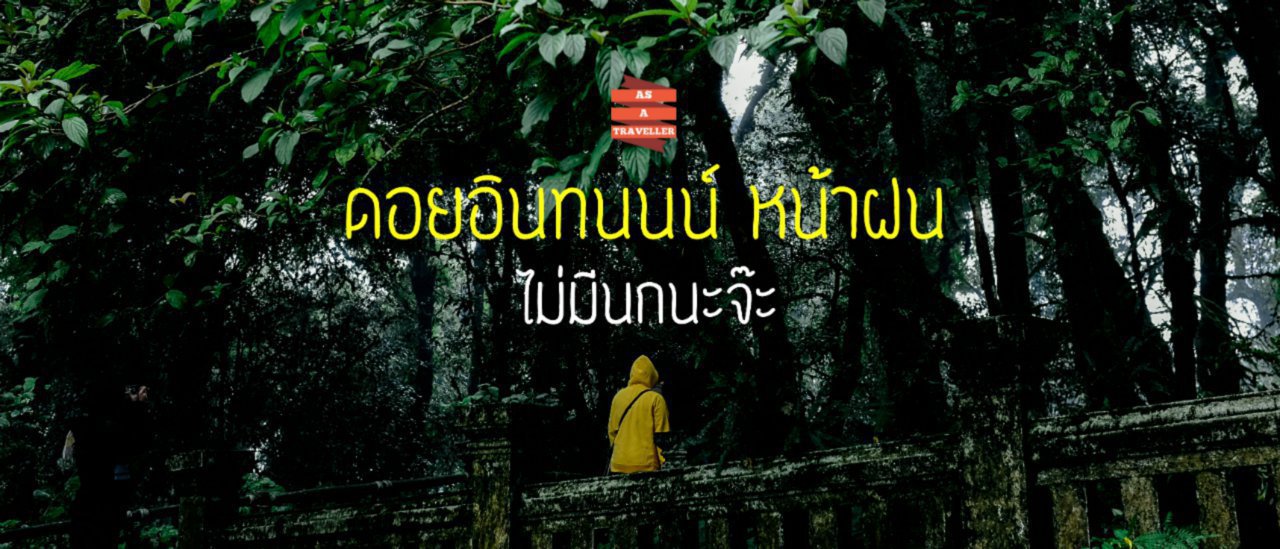 cover ดอยอินทนนน์หน้าฝน มีดียิ่งกว่าจุดสูงสุดแดนสยาม!