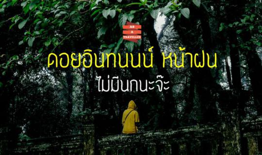 Cover ดอยอินทนนน์หน้าฝน มีดียิ่งกว่าจุดสูงสุดแดนสยาม!...