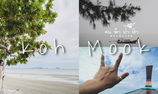 cover เกาะมุก จังหวัดตรัง สวยแบบสุขใจ....