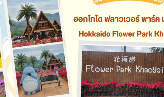 Cover รีวิว สวนดอกไม้สวย ฮอกไกโด ฟลาวเวอร์ พาร์ค เขาใหญ่ (Hokkaido Flower ...