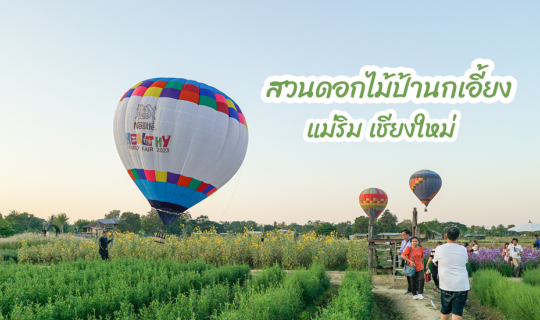 Cover สวนดอกไม้ป้านกเอี้ยง ปลายปี 2566...