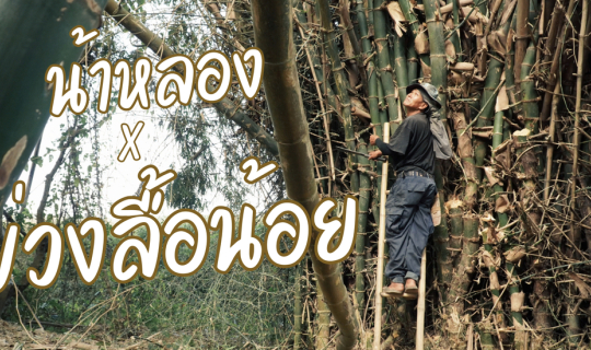 Cover ปฏิบัติการสร้างพื้นที่งานไม้ไผ่วันนี้ กับน้าหลอง...