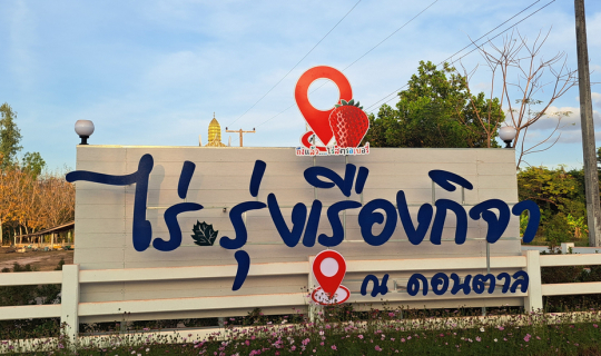 Cover ไร่รุ่งเรืองกิจา  คาเฟ่ มุกดาหาร...