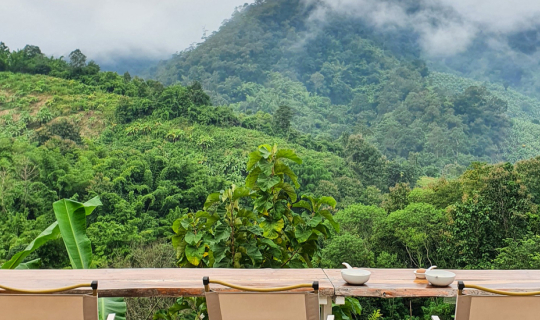 cover หนีไปพัก ที่ YAZAMA HOMESTAY อ.แม่แตง จ.เชียงใหม่