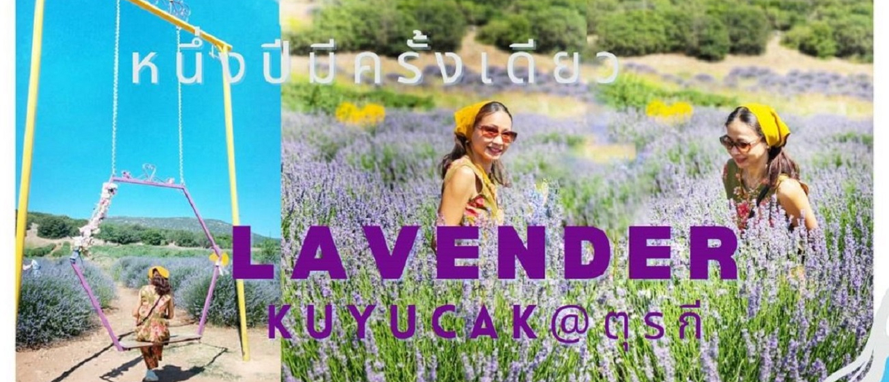 cover ตุรเคียลาเวนเดอร์1ปีมีครั้งเดียว "WONDERFUL LAVENDER IN TURKIYE