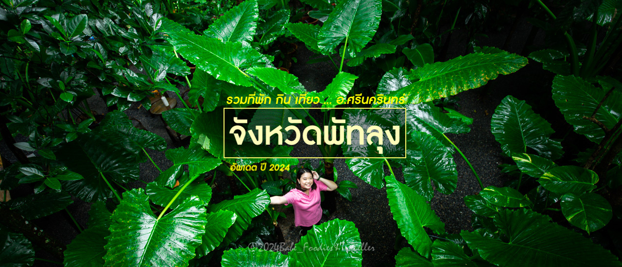 cover ผ่อนคลายสบายอารมณ์ ที่ภาคใต้ อ.ศรีนครินทร์ พัทลุง เมืองแห่งธรรมชาติ พราวน้ำตก สายหมอกสวย อาหารหรอยแรง ครบเครื่องเรื่องธรรมชาติ “เขา ป่า นา เล” เฮ เฮ เฮ!