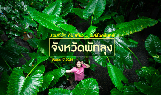 cover ผ่อนคลายสบายอารมณ์ ที่ภาคใต้ อ.ศรีนครินทร์ พัทลุง เมืองแห่งธรรมชาติ พราวน้ำตก สายหมอกสวย อาหารหรอยแรง ครบเครื่องเรื่องธรรมชาติ “เขา ป่า นา เล” เฮ เฮ เฮ!