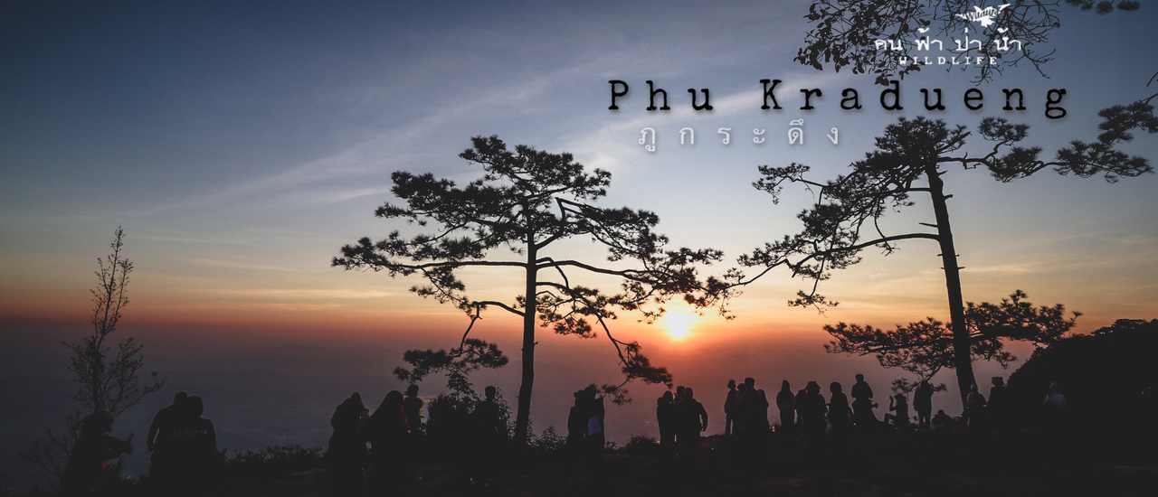 cover เราขึ้นภูกระดึงในปี พศ. 2567....