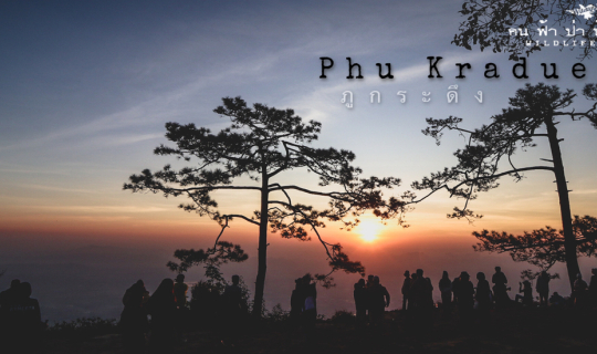 cover เราขึ้นภูกระดึงในปี พศ. 2567....