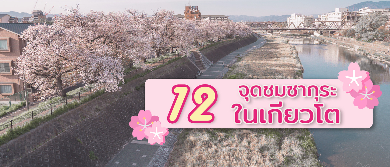 cover แจกพิกัด 12 จุดชมซากุระ เกียวโต ญี่ปุ่น
