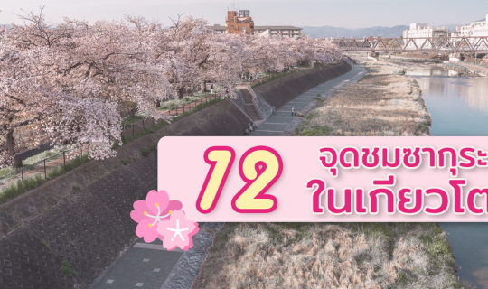 Cover แจกพิกัด 12 จุดชมซากุระ เกียวโต ญี่ปุ่น...