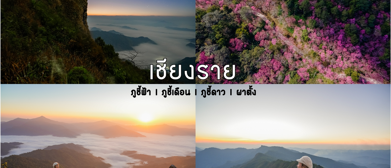 cover เที่ยว 3 ภู 1 ผา ตามหาพญาเสือโคร่ง เชียงราย 3 วัน 2  คืน