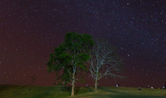 Cover ตะลอนกางเต้นท์ตามอุทยานภาคเหนือ ในเดือนมกราคม แบบ "โนแพลน" จนต้องร้อ...