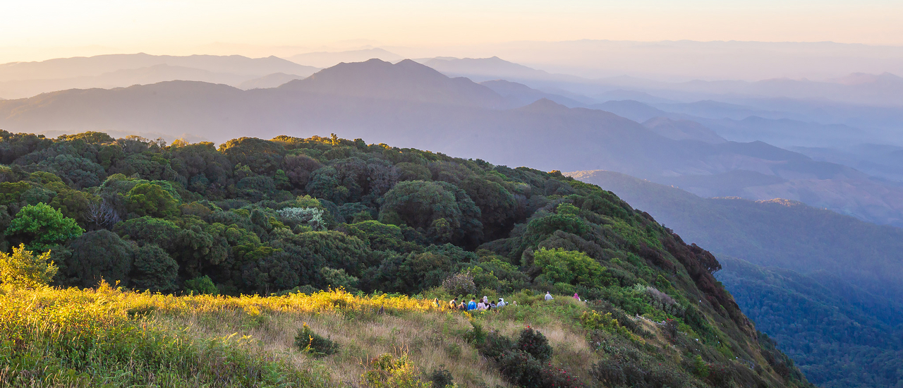 cover ตะลอนกางเต้นท์ตามอุทยานภาคเหนือ ในเดือนมกราคม แบบ "โนแพลน" จนต้องร้อง "อิหยั๋งว๊ะ" - Part 7 #ผาดอกเสี้ยว #กิ่วแม่ปาน