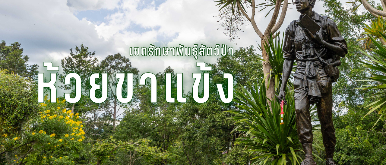 cover 🌳 เขตรักษาพันธุ์สัตว์ป่าทุ่งใหญ่นเรศวร ห้วยขาแข้ง 🌳