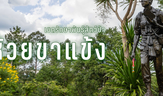 cover 🌳 เขตรักษาพันธุ์สัตว์ป่าทุ่งใหญ่นเรศวร ห้วยขาแข้ง 🌳