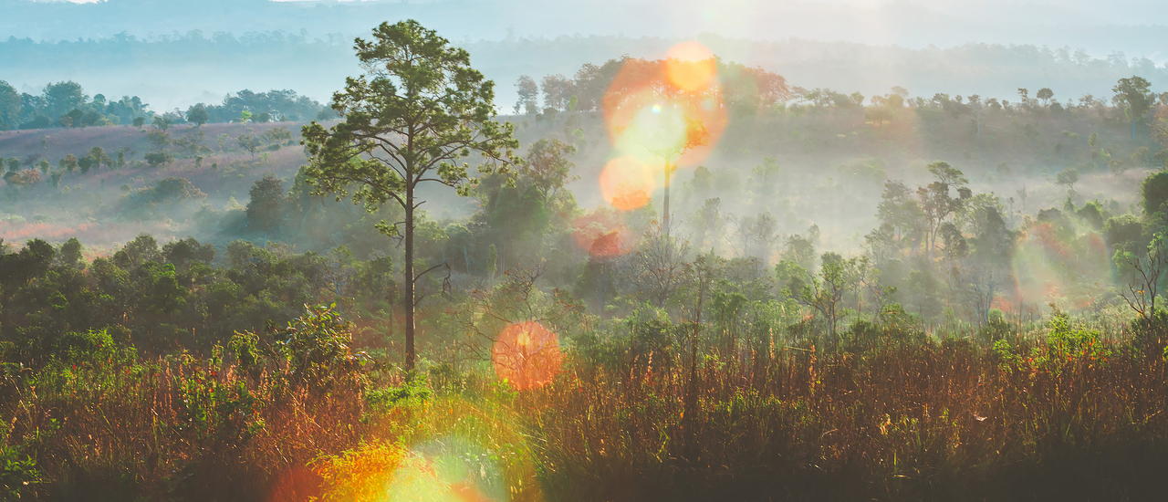 cover ตะลอนกางเต้นท์ตามอุทยานภาคเหนือ ในเดือนมกราคม แบบ "โนแพลน" จนต้องร้อง "อิหยั๋งว๊ะ" - Part 11 #ทุ่งแสลงหลวง #ทุ่งกังหันลมเขาค้อ #อุทยานประวัติศาสตร์ศรีเทพ #เจ็ดคด-โป่งก้อนเส้า つづく