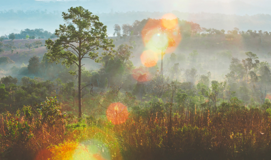 cover ตะลอนกางเต้นท์ตามอุทยานภาคเหนือ ในเดือนมกราคม แบบ "โนแพลน" จนต้องร้อง "อิหยั๋งว๊ะ" - Part 11 #ทุ่งแสลงหลวง #ทุ่งกังหันลมเขาค้อ #อุทยานประวัติศาสตร์ศรีเทพ #เจ็ดคด-โป่งก้อนเส้า つづく