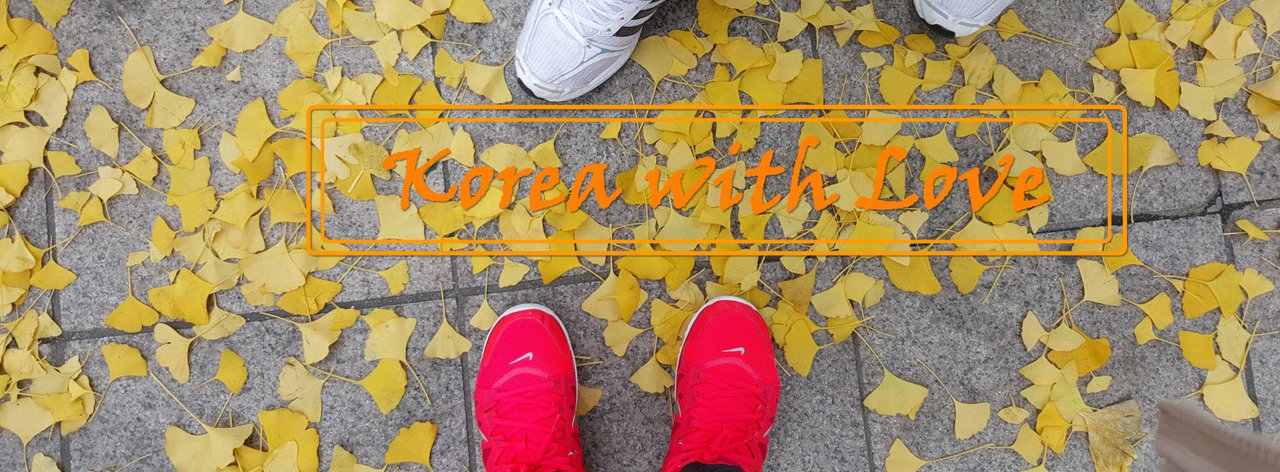 cover Korea with Love (^_^) Incheon-Seoul-Sokcho-Suwon (8 days 7 nights)