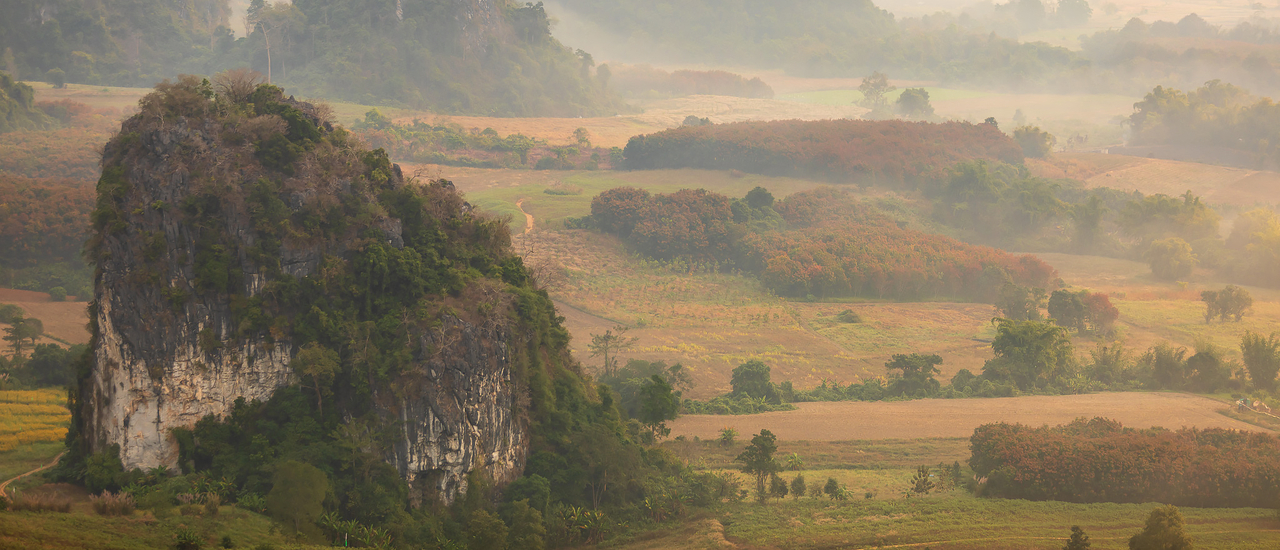 cover "ภูลังกา" ในม่านหมอกยามเช้า ที่งดงาม ราวกับภาพวาด