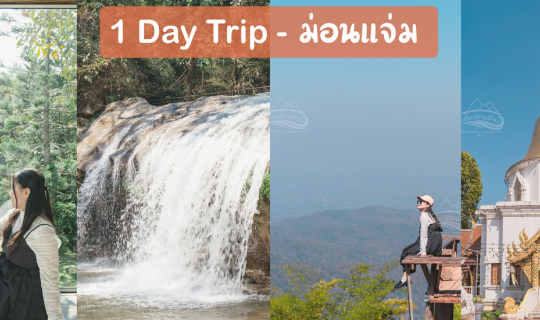 Cover 1 Day Trip นิมมาน - ม่อนแจ่ม เชียงใหม่ ฉบับคนไม่ขับรถไปเอง...