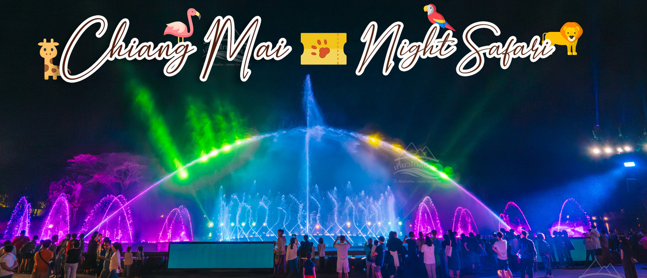 cover เชียงใหม่ไนท์ซาฟารี สวนสัตว์เปิดเชียงใหม่ที่ไม่ควรพลาด