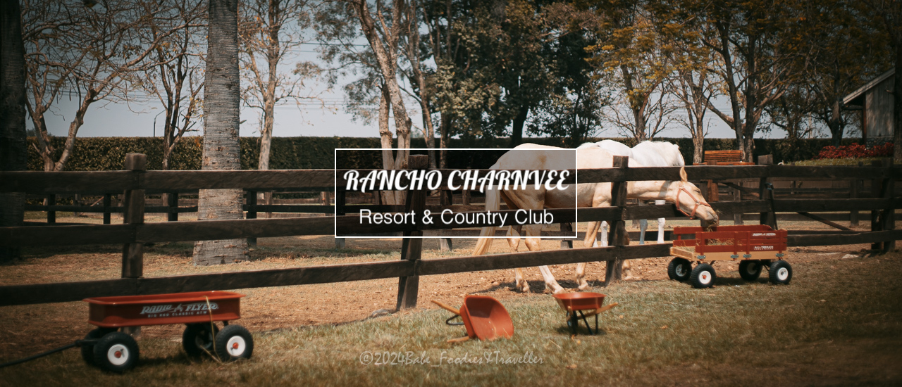 cover เติมเต็มความสุขสนุก ในวันพักผ่อนที่ ปากช่อง เขาใหญ่ Rancho Charnvee รีสอร์ต จัดเต็มกิจกรรม ขับเอทีวี จิบกาแฟคาเฟ่ ทานอาหารอิตาเลียน