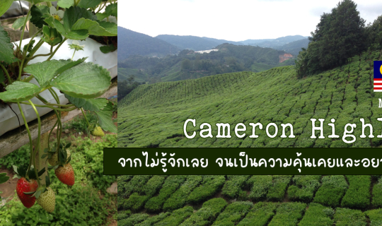 cover ไม่รู้จักเลย จนเป็นความคุ้นเคยและอยากกลับไป Malaysia Cameron Highland