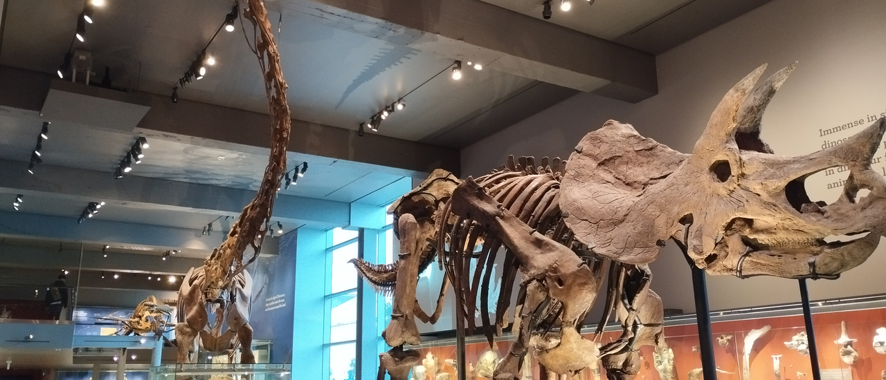 cover ทริปละตินอเมริกา ตอน 5 รีวิว Natural history museum Los Angeles ดูไดโนเสาร์ที่ลอสแองเจลิส ประเทศอเมริกากัน พิพิธภัณฑ์ประวัติศาสตร์ธรรมชาติลอสแองเจลิส