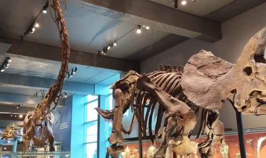 Cover ทริปละตินอเมริกา ตอน 5 รีวิว Natural history museum Los Angeles ดูได...